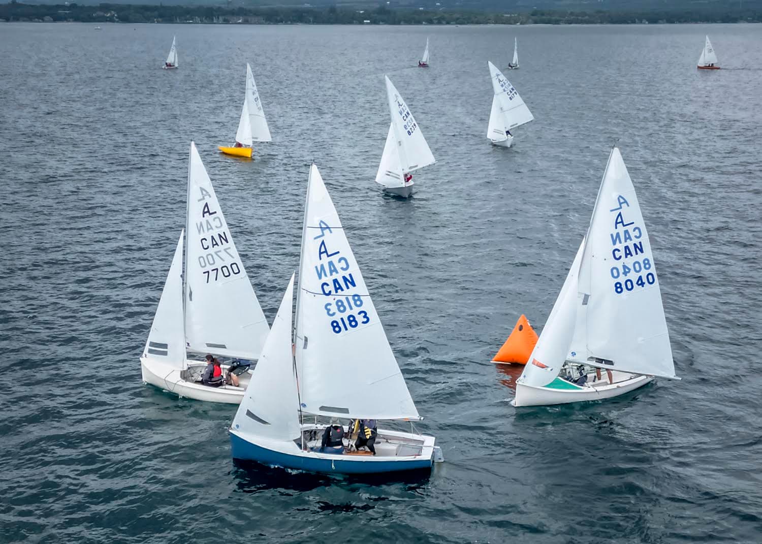 A dinghy fleet racing on open water