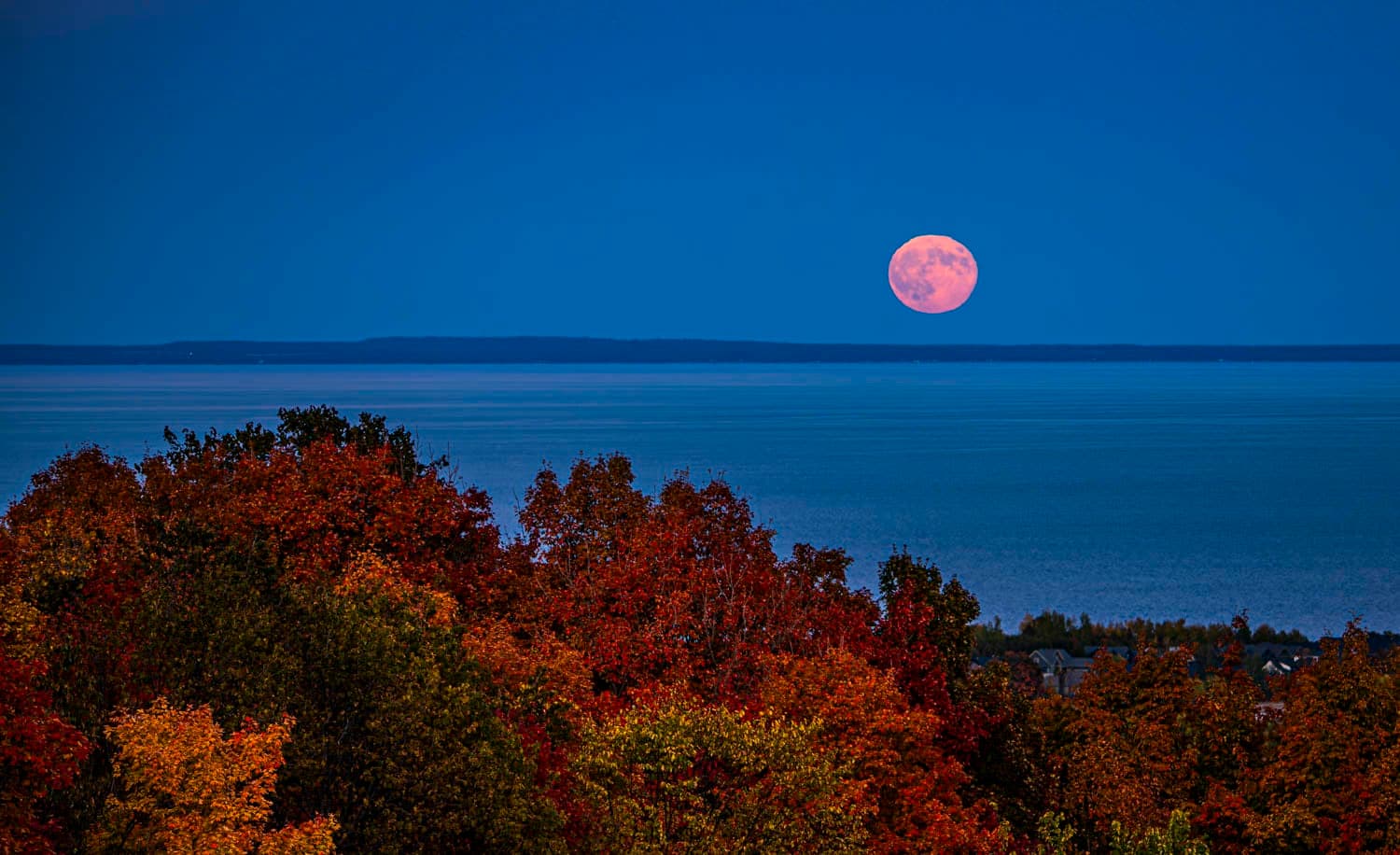 Full moon rising over the bay above autumn colour
