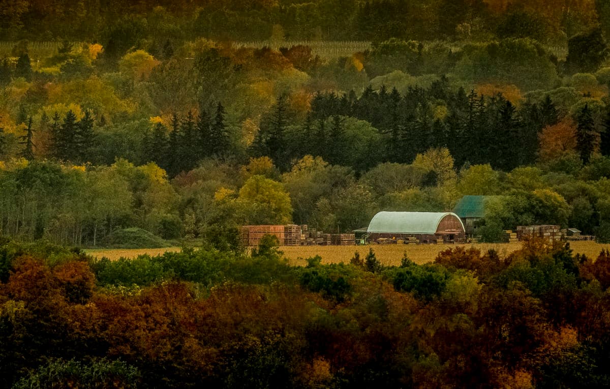 Apple crates stacked outside a storage barn, autumn hillside beyond