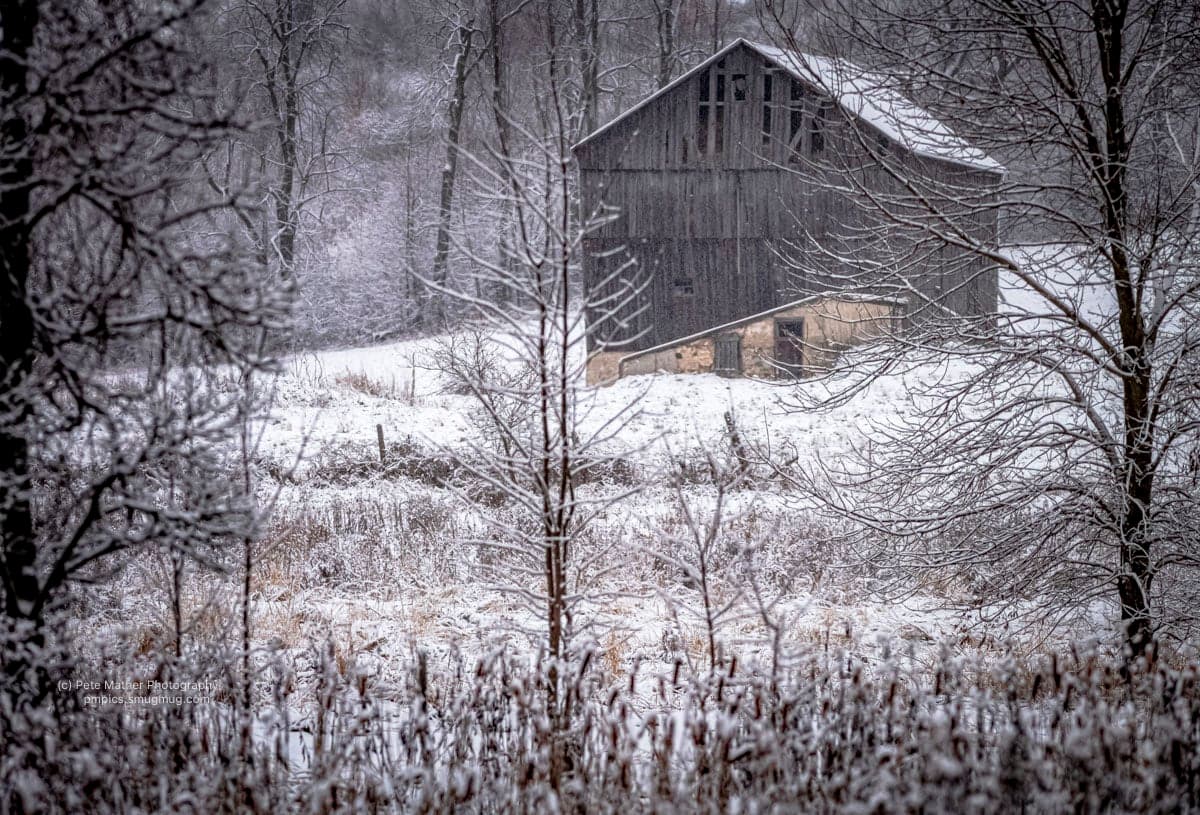 Weathered grey barn through frosted trees after snowfall