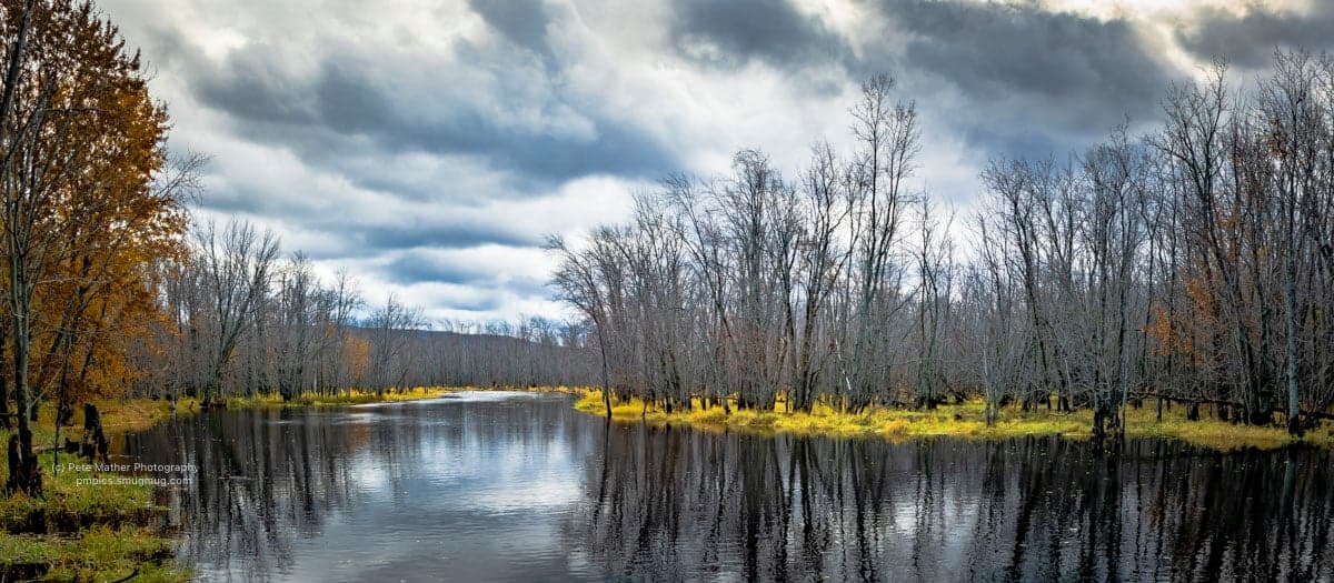 Flooded woodland under a broken autumn sky