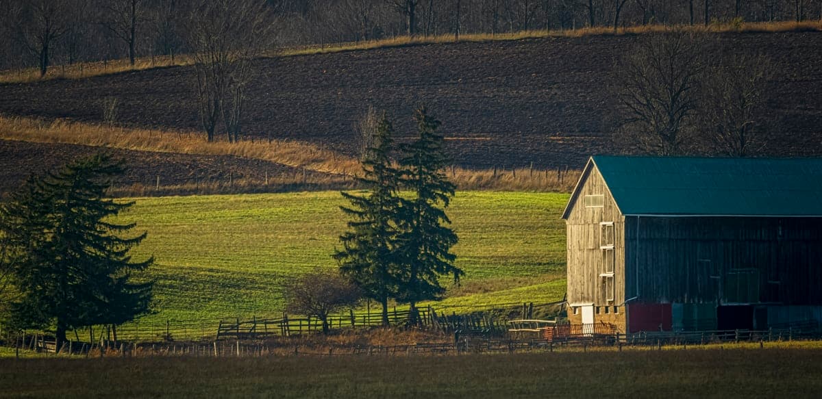Barn at the edge of a farm field, forested hillside beyond