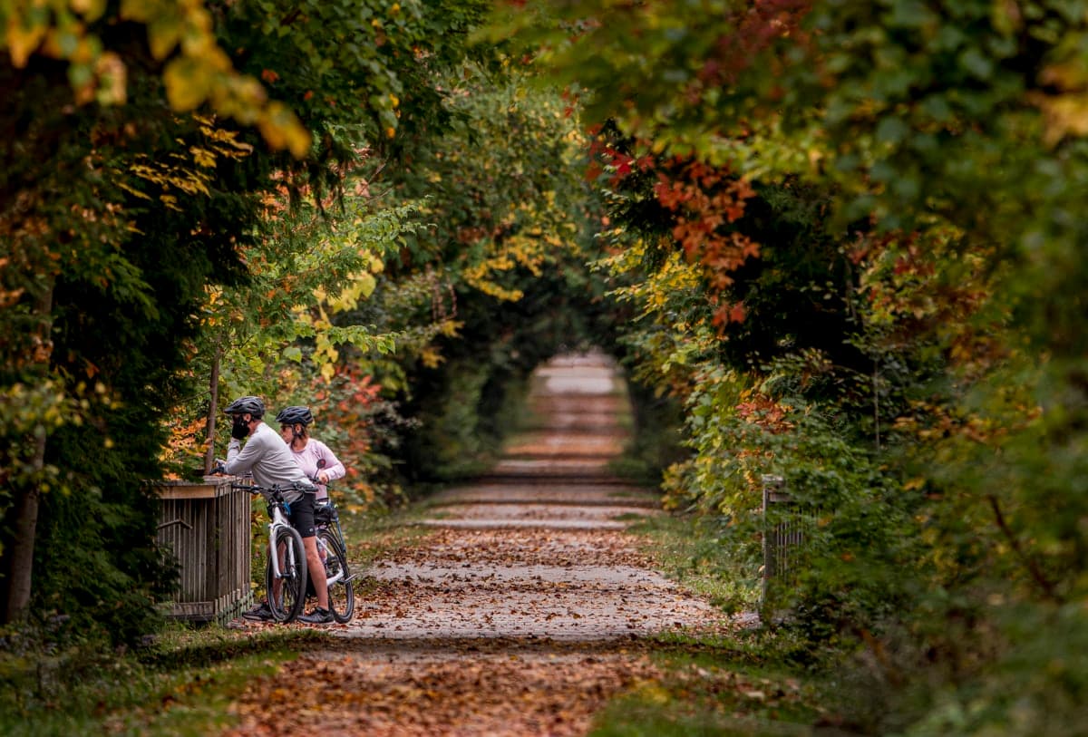 Cyclists pausing along a tree-lined trail in autumn