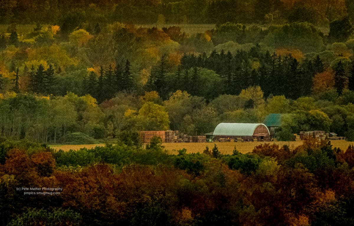 Farm building and stacked crates among autumn trees