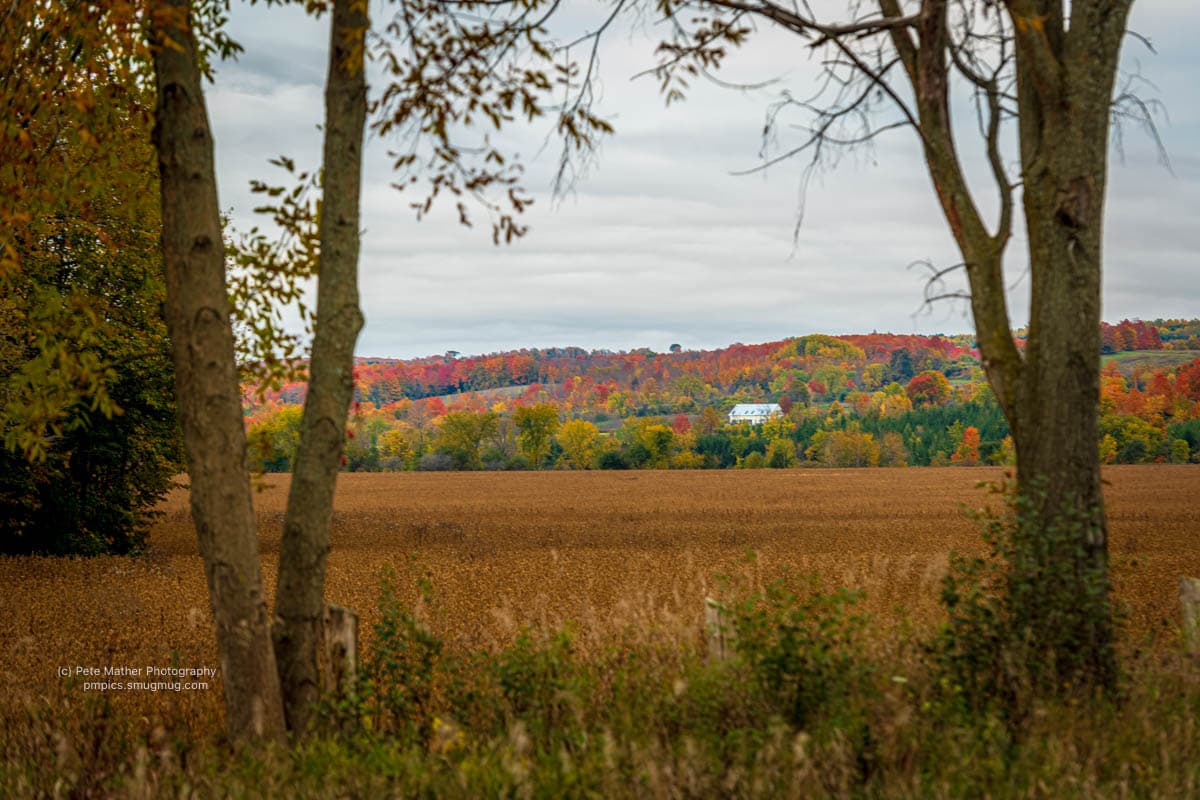 Pasture and distant barn framed by trees and autumn hills