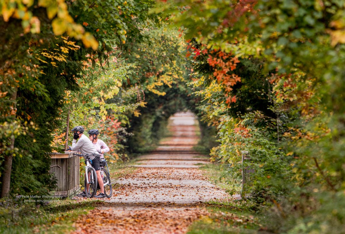 Cyclists by a railing on an autumn trail beneath trees