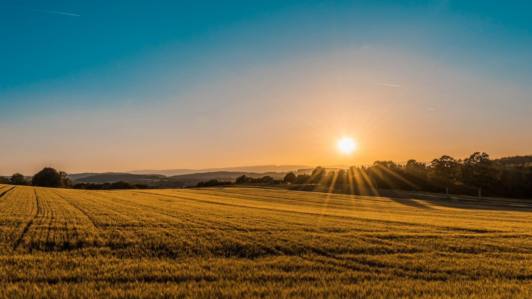 Low sun over open farmland, from above
