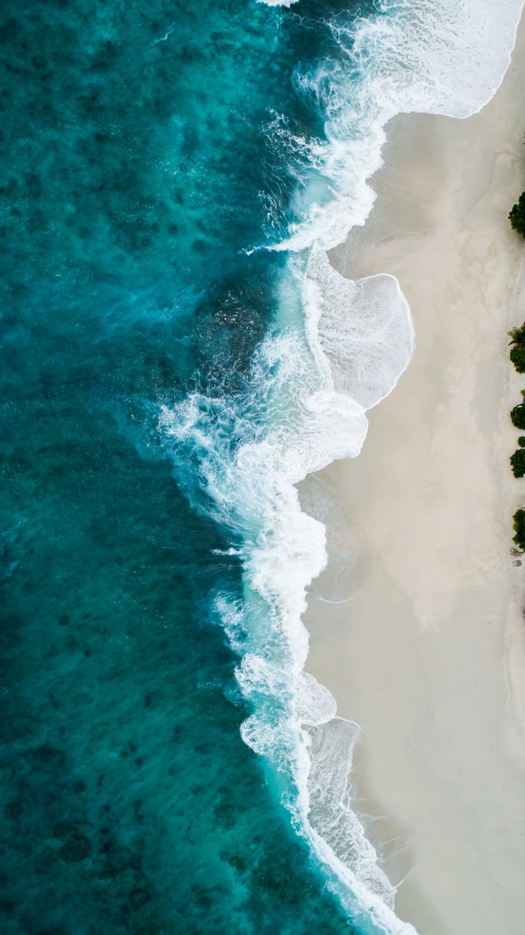 Waves rolling onto an empty shoreline, from above